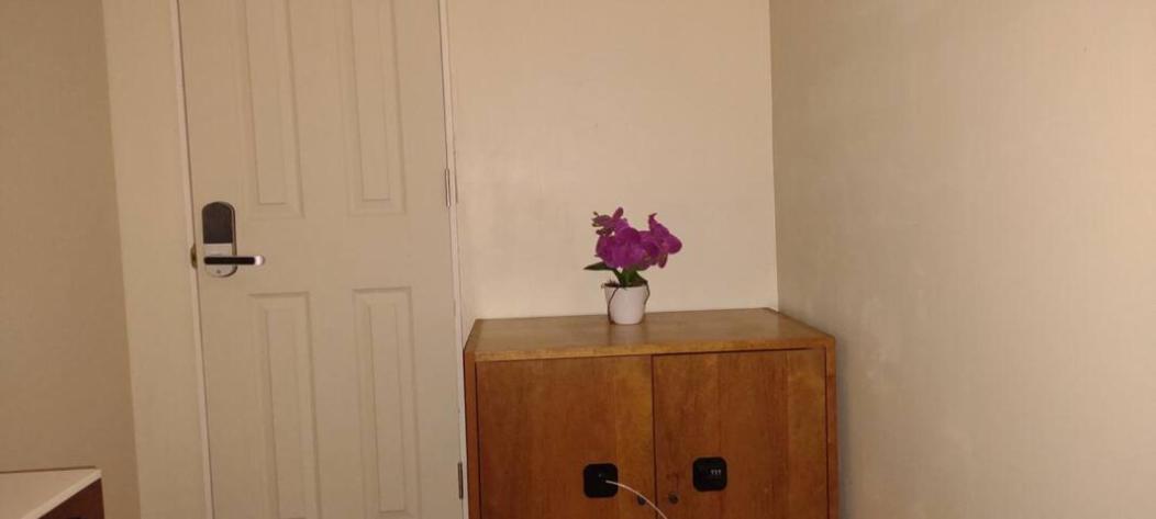 Affordable & Central Williamsburg Boutique Room New York Eksteriør bilde